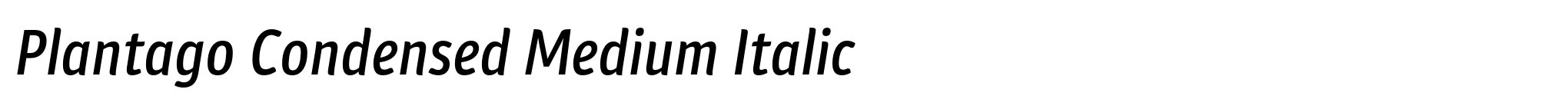 Plantago Condensed Medium Italic image